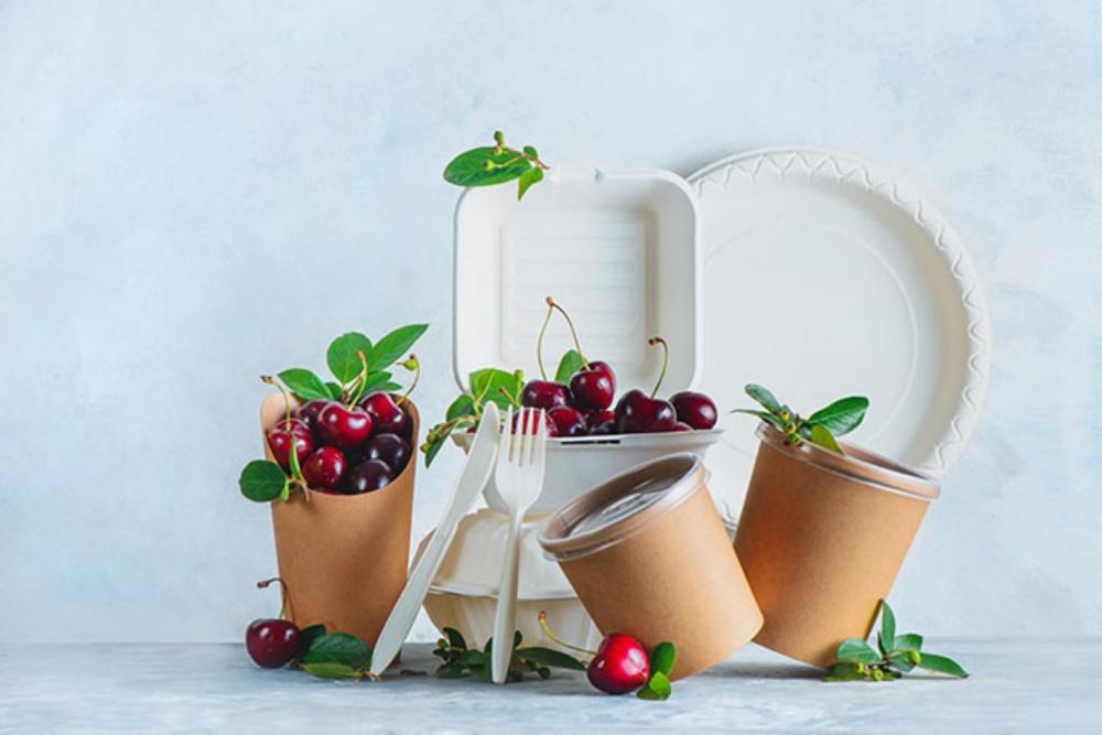 Boîtes alimentaires compostables à Saint-Denis